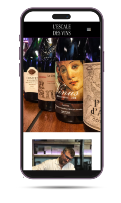 Freelance wordpress Lyon, création site internet Lyon, référencement site internet Lyon